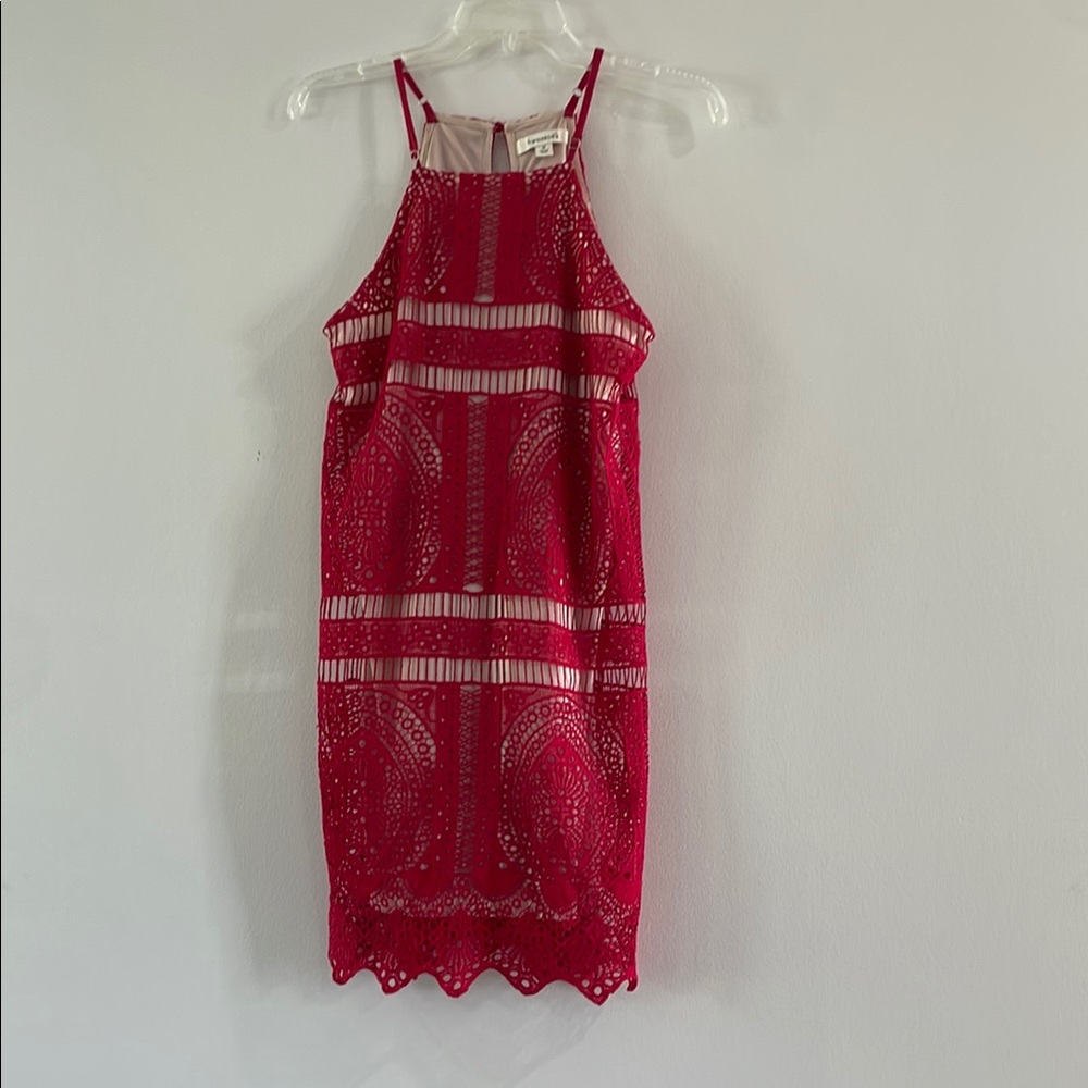 Francesca's Collections Red Sheath Mini Dress